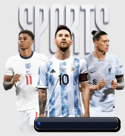 开云 APP(kaiyun sports)